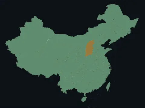 中国大陆三网（电信/联通/移动）延迟热力图预览
