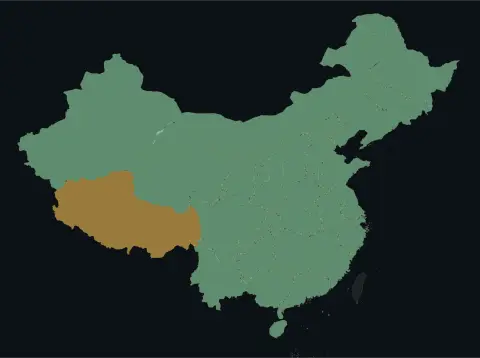中国大陆三网（电信/联通/移动）延迟热力图预览