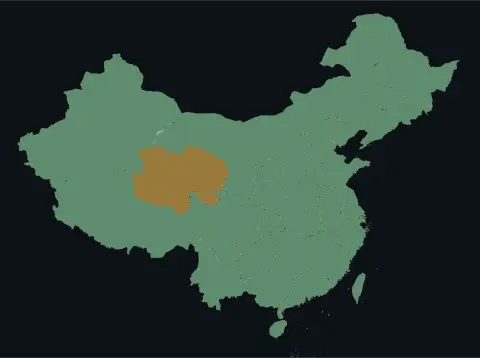 中国大陆三网（电信/联通/移动）延迟热力图预览
