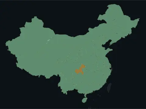 中国大陆三网（电信/联通/移动）延迟热力图预览