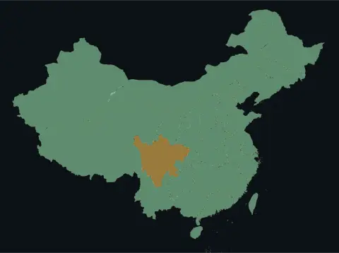 中国大陆三网（电信/联通/移动）延迟热力图预览