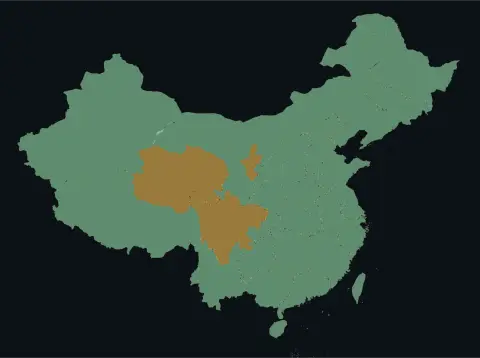 中国大陆三网（电信/联通/移动）延迟热力图预览