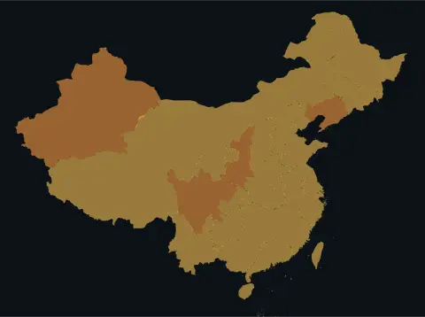 中国大陆三网（电信/联通/移动）延迟热力图预览