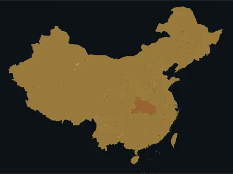 中国大陆三网（电信/联通/移动）延迟热力图预览