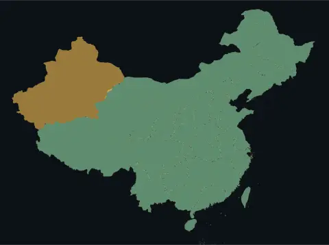 中国大陆三网（电信/联通/移动）延迟热力图预览